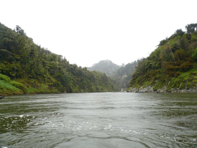 Whanganui, Whanganui River, Whanganui Iwi, indigenous, indigenous people, indigenous rights, river, rivers, nature, environment, New Zealand, Te Awa Tupua, bill, politics