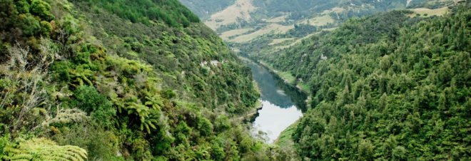 Whanganui, Whanganui River, Whanganui Iwi, indigenous, indigenous people, indigenous rights, river, rivers, nature, environment, New Zealand, Te Awa Tupua, bill, politics
