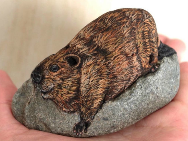 Akie Nakata, japanese stone artist, japanese stone art, painted rocks, painted rock animals, rock art, japanese art, Akie Nakata Stone Animal Art, rock artist, stone artist, animal designs, animal art, animal artists, animal stone art