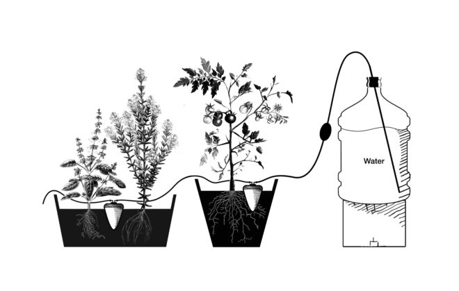 water issues, handmade design, artisanal design, cairo, egypt, ancient design, Clayola, Rami Halim, water issues, urban gardening, gardening