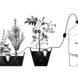 water issues, handmade design, artisanal design, cairo, egypt, ancient design, Clayola, Rami Halim, water issues, urban gardening, gardening