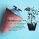 water issues, handmade design, artisanal design, cairo, egypt, ancient design, Clayola, Rami Halim, water issues, urban gardening, gardening
