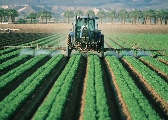 Chlorpyrifos, pesticides, trump administration, epa, environmental protection agency, scott pruitt, agriculture, pesticide spraying, pesticide ban