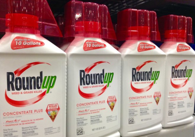 monsanto, roundup, glyphosate, pesticides, herbicides, EPA, environmental protection agency, roundup cancer link, glyphosate cancer link, WHO, world health organization, cancer research, non-hodgkins lymphoma
