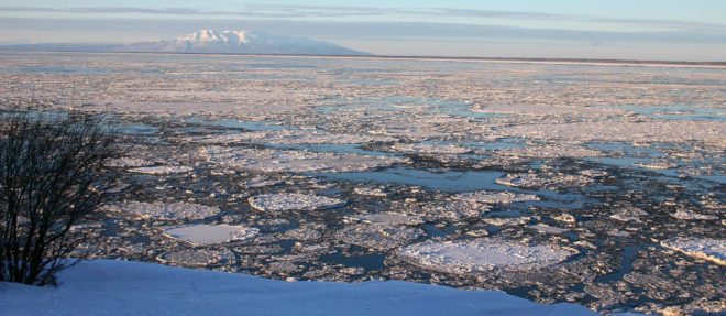environment, gas leak, alaska, pipeline, natural gas, methane, endangered species, beluga whales, natural gas leak endangering belugas won't be fixed until march, alaska pipeline leak endangering belugas
