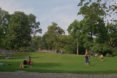 central Park, NYC parks, NYC green areas