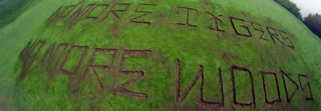 donald trump, trump golf course, trump national golf club, civil disobedience, vandalism, activism, environmental activists, environmental policy, los angeles