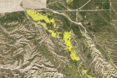 Planet, Planet Labs, KQED, California, super bloom, wildflower bloom, flower, flowers, wildflower, wildflowers, nature, environment, natural beauty, satellite, satellites, satellite image, satellite images, satellite imagery