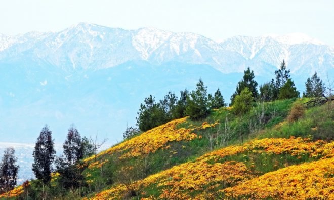 California, drought, water conservation, Jerry Brown
