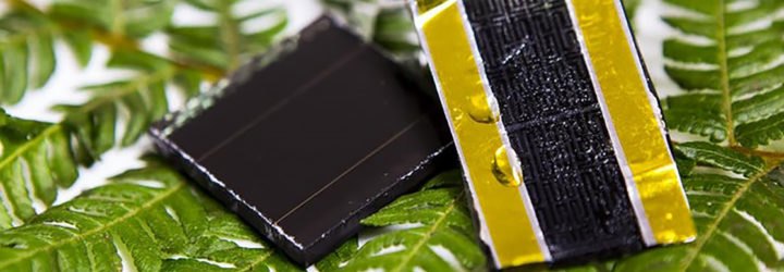 RMIT University, RMIT, fern, ferns, American fern, American ferns, western swordfern, western swordferns, fractal, fractals, electrode, electrodes, energy, energy storage, solar storage, solar, solar energy, solar power, solar cell, solar cells