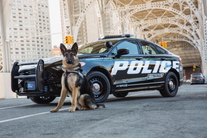 Ford, Ford Police Responder Hybrid Sedan, hybrid police car, hybrid sedan, green car, green police car, los angeles, new york, lithium-ion battery, electric motor, hybrid, green car, green transportation