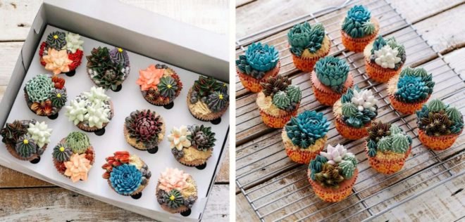 Iven Kawi, Iven Oven, terrarium cakes, terrarium deserts, pastry terrarium, pastry art, cupcake art, flower cakes, creative cakes, baking, cacti, cake, terrariums, culinary plants, cactus cakes