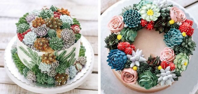 Iven Kawi, Iven Oven, terrarium cakes, terrarium deserts, pastry terrarium, pastry art, cupcake art, flower cakes, creative cakes, baking, cacti, cake, terrariums, culinary plants, cactus cakes