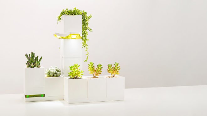 LeGrow, Winmart Design, LeGrow by Winmart Design, planter, planters, planter pot, planter pots, pot, pots, plants, plant, nature, garden, gardens, indoor garden, indoor gardens, smart garden, smart gardens, design, modular, building blocks, LEGO, LEGOs