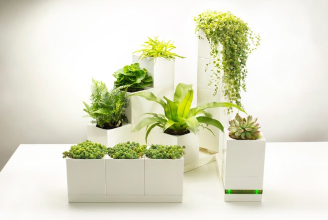 LeGrow, Winmart Design, LeGrow by Winmart Design, planter, planters, planter pot, planter pots, pot, pots, plants, plant, nature, garden, gardens, indoor garden, indoor gardens, smart garden, smart gardens, design, modular, building blocks, LEGO, LEGOs