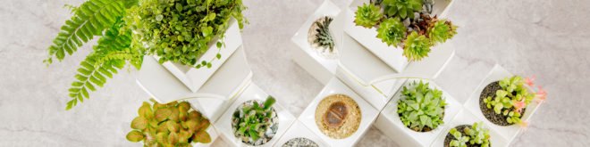 LeGrow, Winmart Design, LeGrow by Winmart Design, planter, planters, planter pot, planter pots, pot, pots, plants, plant, nature, garden, gardens, indoor garden, indoor gardens, smart garden, smart gardens, design, modular, building blocks, LEGO, LEGOs