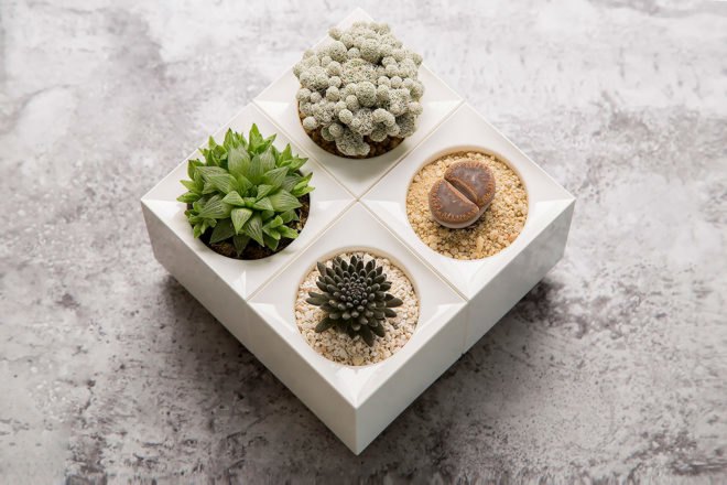 LeGrow, Winmart Design, LeGrow by Winmart Design, planter, planters, planter pot, planter pots, pot, pots, plants, plant, nature, garden, gardens, indoor garden, indoor gardens, smart garden, smart gardens, design, modular, building blocks, LEGO, LEGOs