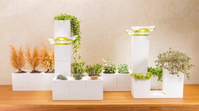 LeGrow, Winmart Design, LeGrow by Winmart Design, planter, planters, planter pot, planter pots, pot, pots, plants, plant, nature, garden, gardens, indoor garden, indoor gardens, smart garden, smart gardens, design, modular, building blocks, LEGO, LEGOs