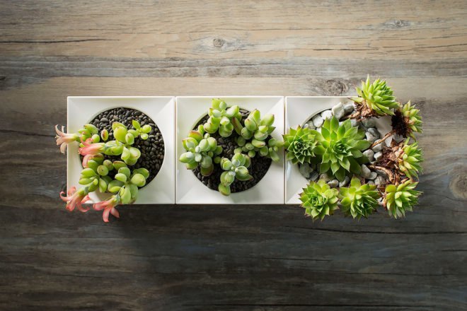 LeGrow, Winmart Design, LeGrow by Winmart Design, planter, planters, planter pot, planter pots, pot, pots, plants, plant, nature, garden, gardens, indoor garden, indoor gardens, smart garden, smart gardens, design, modular, building blocks, LEGO, LEGOs