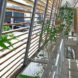 Wow! Sta., Takeru Shoji Architects, multipurpose architecture, mixed-use, wooden louvers, commercial architecture, Japan, indoor garden, suburbs, green architecture