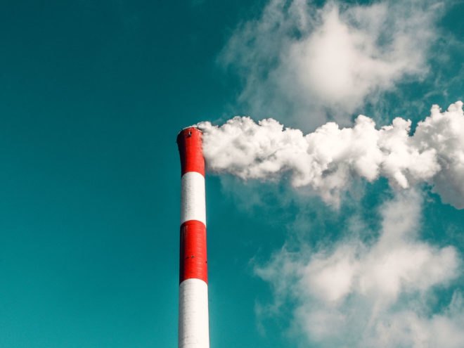 Ridhima Pandey, air pollution, amazing kids, climate change, India, lawsuits