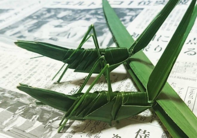 food art, edible art, food carving, mukimono