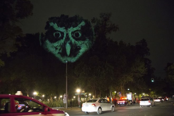 Animal Watching by Maizz Visual, animal video art, habitat destruction art, environmental awareness art, Mexico City art installation, Maizz Visual, video art by Maizz Visual, Marvin Festival 2017, Marvin Festival 2017 art,
