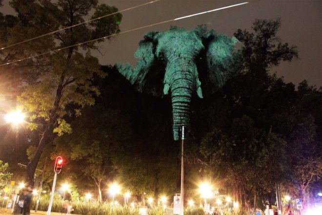 Animal Watching by Maizz Visual, animal video art, habitat destruction art, environmental awareness art, Mexico City art installation, Maizz Visual, video art by Maizz Visual, Marvin Festival 2017, Marvin Festival 2017 art,