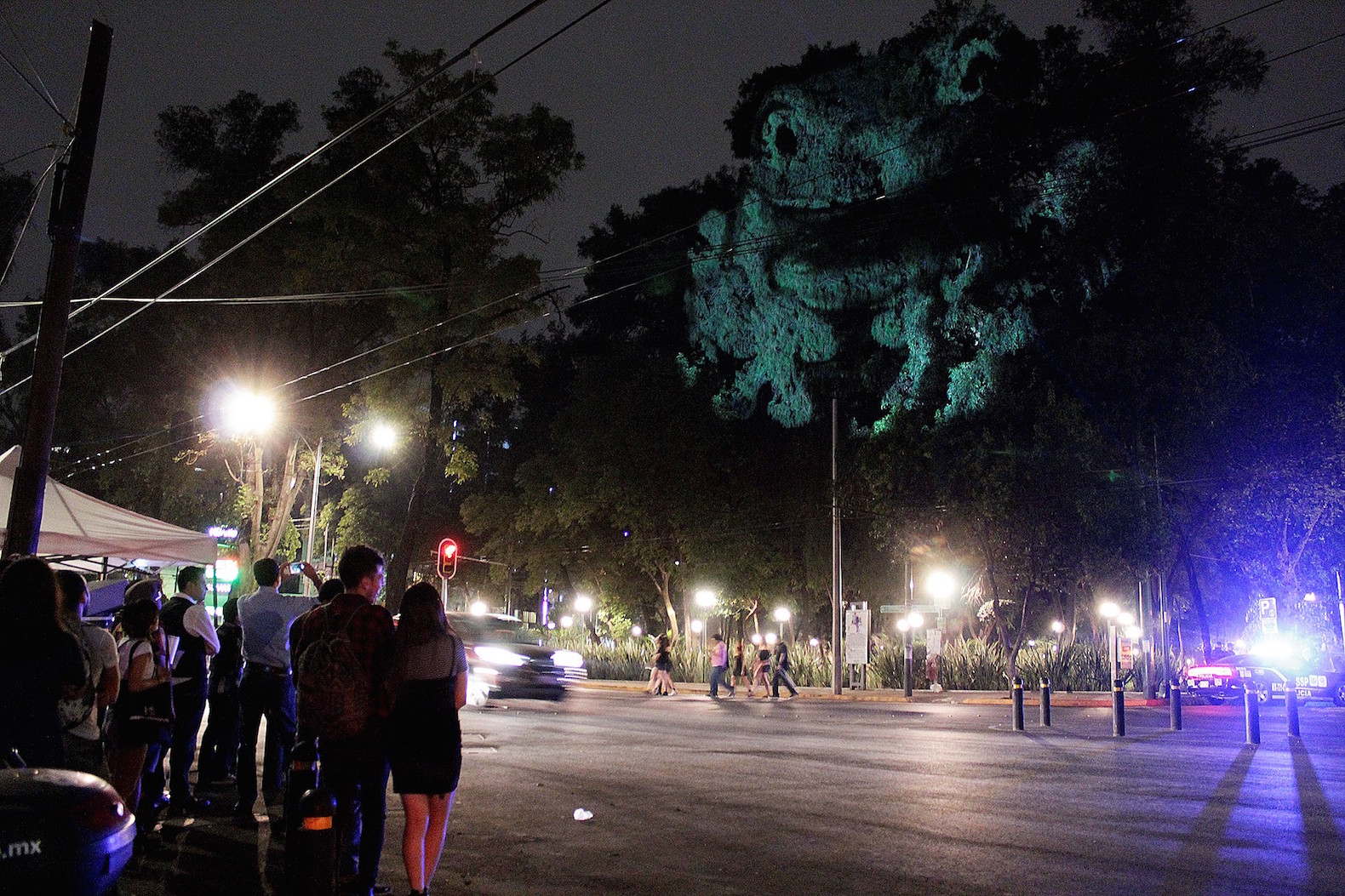 Animal Watching by Maizz Visual, animal video art, habitat destruction art, environmental awareness art, Mexico City art installation, Maizz Visual, video art by Maizz Visual, Marvin Festival 2017, Marvin Festival 2017 art,