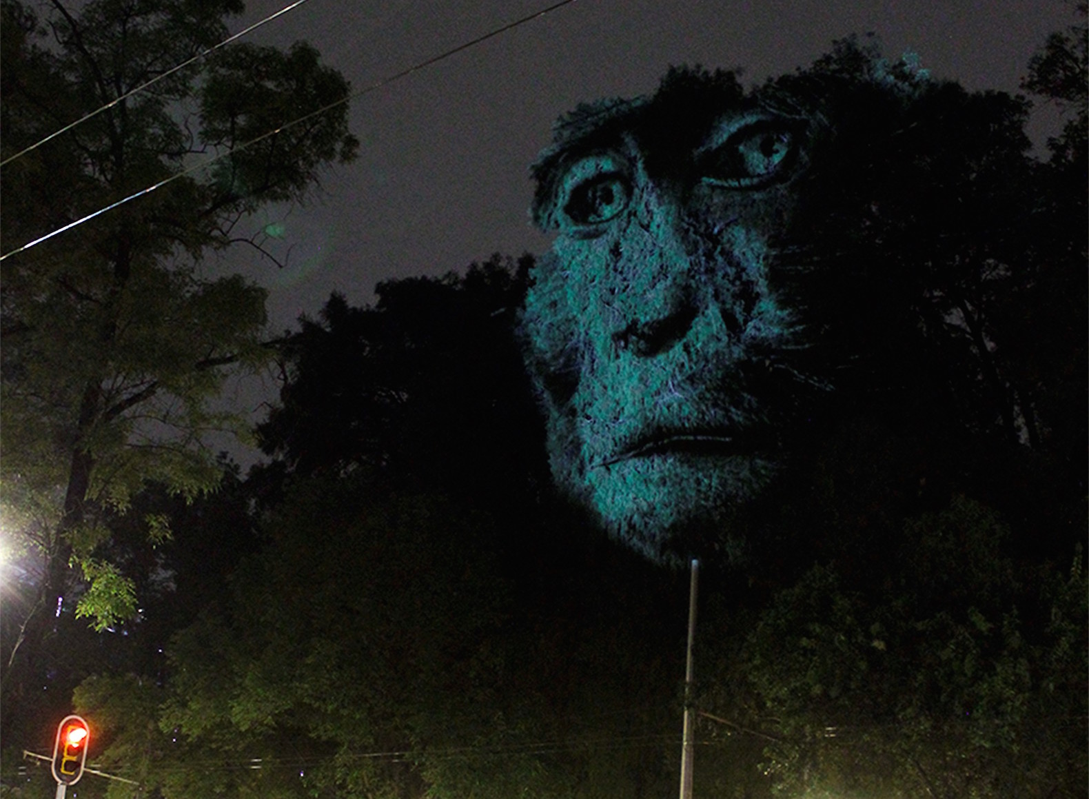 Animal Watching by Maizz Visual, animal video art, habitat destruction art, environmental awareness art, Mexico City art installation, Maizz Visual, video art by Maizz Visual, Marvin Festival 2017, Marvin Festival 2017 art,