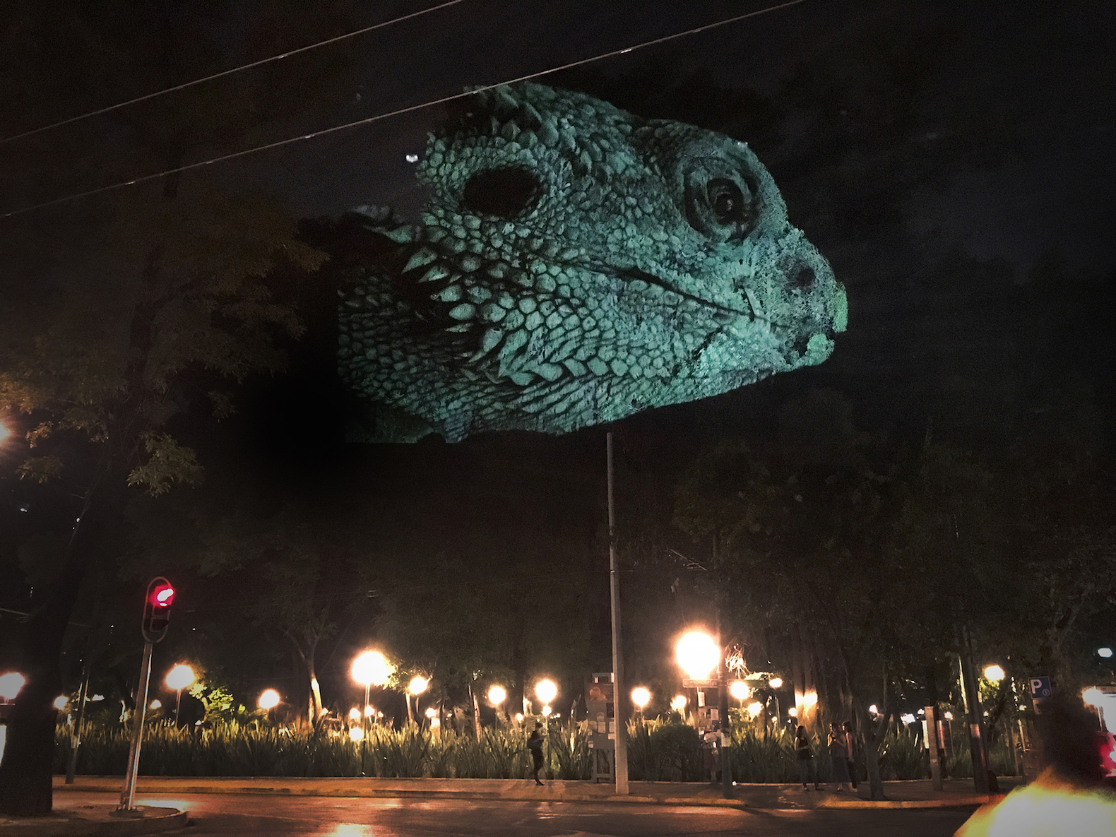 Animal Watching by Maizz Visual, animal video art, habitat destruction art, environmental awareness art, Mexico City art installation, Maizz Visual, video art by Maizz Visual, Marvin Festival 2017, Marvin Festival 2017 art,