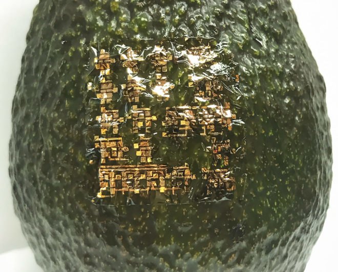 Stanford, Stanford University, Bao Research Group, Hewlett Packard Labs, University of California Santa Barbara, electronic, electronics, semiconductor, semiconductors, e-waste, ewaste, polymer, substrate, circuit, avocado, avocados