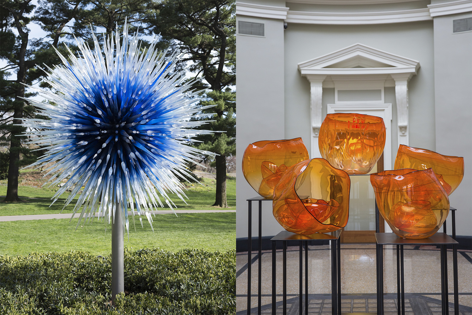 CHIHULY at New York Botanical Garden, Chihuly NYBD, glass art by Dale Chihuly, NYC Chihuly, Bronx chihuly, Bronx botanical garden