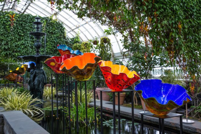 CHIHULY at New York Botanical Garden, Chihuly NYBD, glass art by Dale Chihuly, NYC Chihuly, Bronx chihuly, Bronx botanical garden