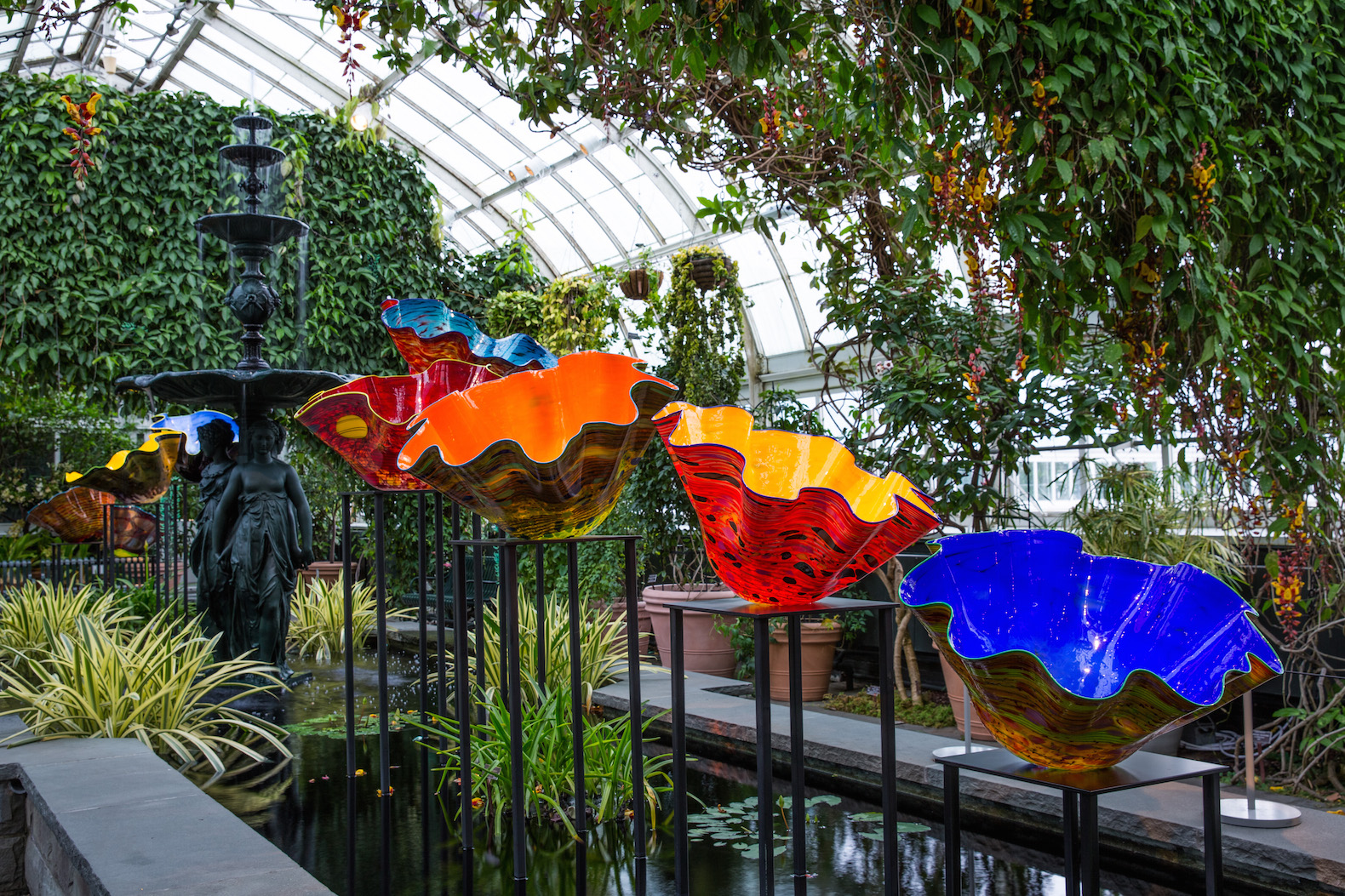 CHIHULY at New York Botanical Garden, Chihuly NYBD, glass art by Dale Chihuly, NYC Chihuly, Bronx chihuly, Bronx botanical garden