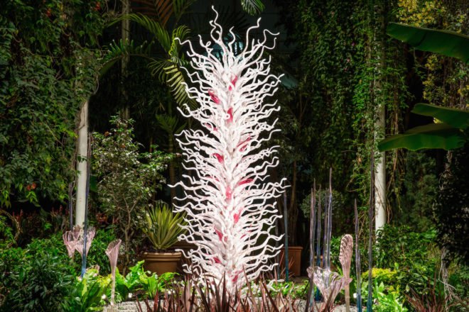 CHIHULY at New York Botanical Garden, Chihuly NYBD, glass art by Dale Chihuly, NYC Chihuly, Bronx chihuly, Bronx botanical garden