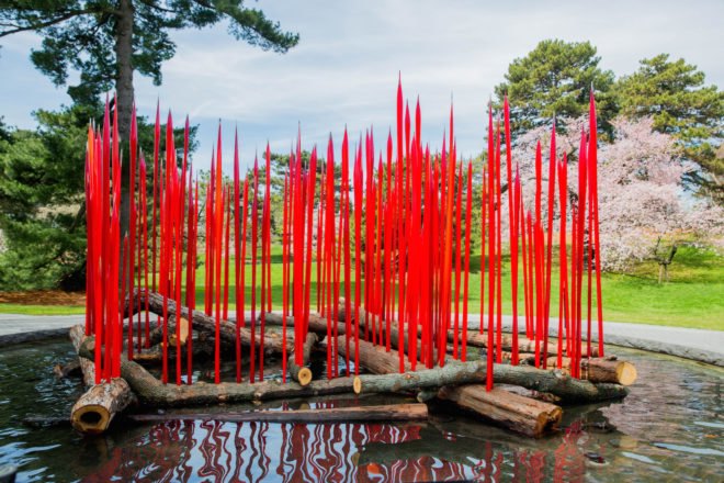 CHIHULY at New York Botanical Garden, Chihuly NYBD, glass art by Dale Chihuly, NYC Chihuly, Bronx chihuly, Bronx botanical garden