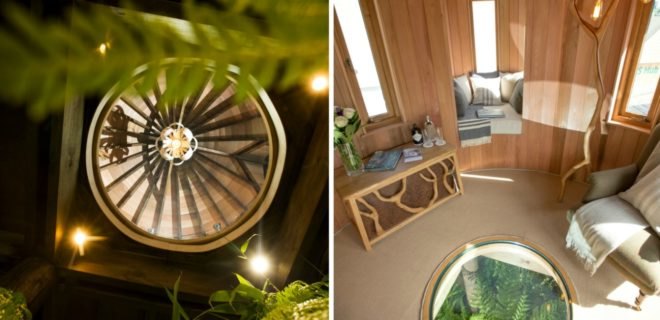 Blue Forest, tree house, tree house design, RHS Chelsea Flower 2017, timber tree houses, timber tiny homes, tree escapes, off grid homes, tree living, forest living, forest homes, cedar tree houses, cedar homes, flower exhitions chelsea, chelsea flower show