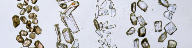 Australian National University, Jack Hills, Western Australia, Australia, zircon, zircon grain, zircon grains, mineral, mineral grain, mineral grains, crystal, crystals, zircon crystals, Earth, earth science, earth sciences, science, research, history