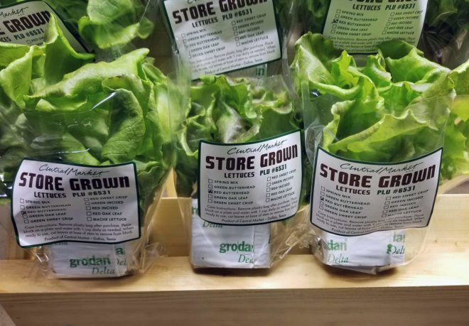 Growtainer, Central Market, Dallas, Texas, food, supermarkets, farming