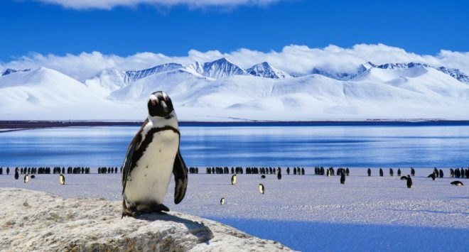 Dubai firm, harvest iceberg, Antarctica, Australia, environmentalism, climate change,