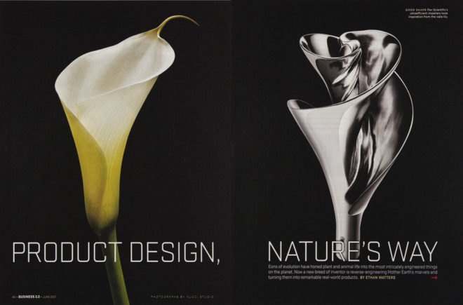 biomimicry, superorganisms, teeming, carbon negative manufacture, Teeming: How Superorganisms Work to Build Infinite Wealth in a Finite World, the biomimicry manual,