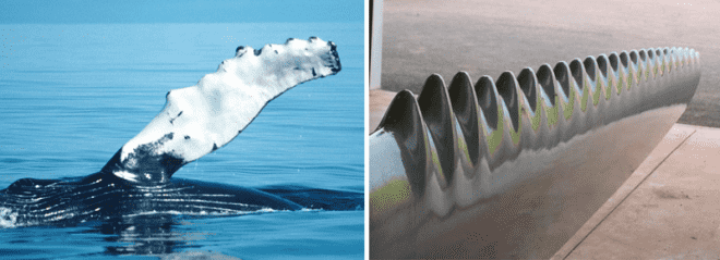 biomimicry, superorganisms, teeming, carbon negative manufacture, Teeming: How Superorganisms Work to Build Infinite Wealth in a Finite World, the biomimicry manual,
