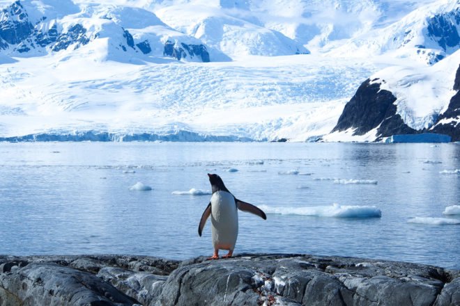 Earth, 2100, climate change, global warming, warming, rising sea levels, sea levels, coral reef, coral reefs, coral bleaching, bleached coral reef, bleached coral reefs, Arctic, Arctic sea ice, sea ice, temperatures, 2 degrees Celsius, hotter temperatures, water, drought, greenhouse gas, greenhouse gases