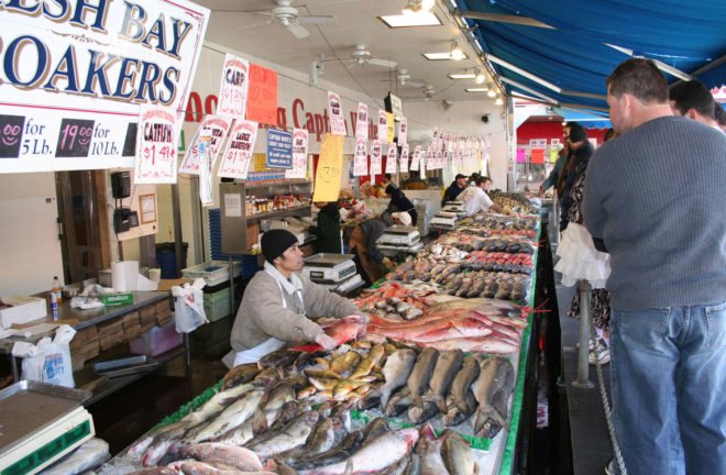 Fish, fishes, fishing, fishing industry, overfishing, seafood, seafood industry, fish market, seafood market, ocean, oceans, food, sustainability