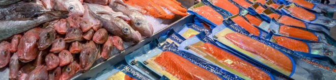 Fish, fishes, fishing, fishing industry, overfishing, seafood, seafood industry, fish market, seafood market, ocean, oceans, food, sustainability
