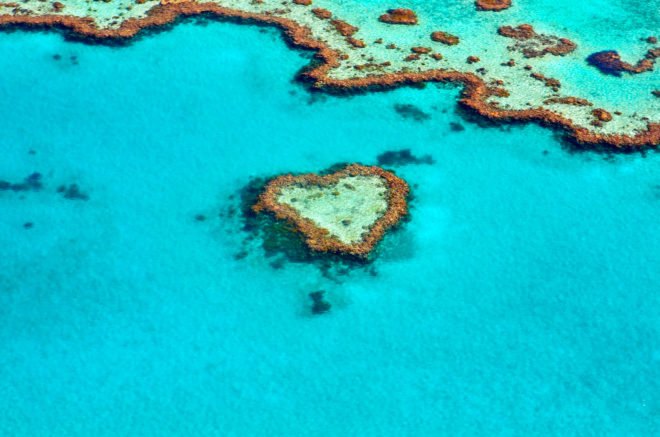 Australia, Great Barrier Reef, $42 Billion, climate change, Great Barrier Reef Foundation, global warming, coral bleaching,