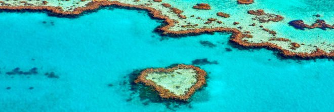 Australia, Great Barrier Reef, $42 Billion, climate change, Great Barrier Reef Foundation, global warming, coral bleaching,