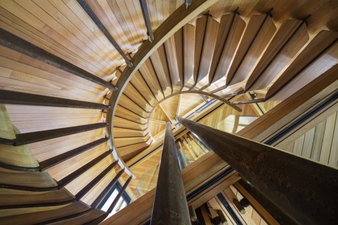 House Paarman by Malan Vorster, Malan Vorster treehouse, forest inspired buildings, tree inspired architecture, tree house in Cape Town, House Paarman tree house, South Africa tree house,