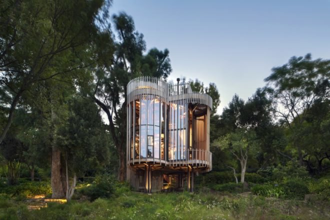 House Paarman by Malan Vorster, Malan Vorster treehouse, forest inspired buildings, tree inspired architecture, tree house in Cape Town, House Paarman tree house, South Africa tree house,